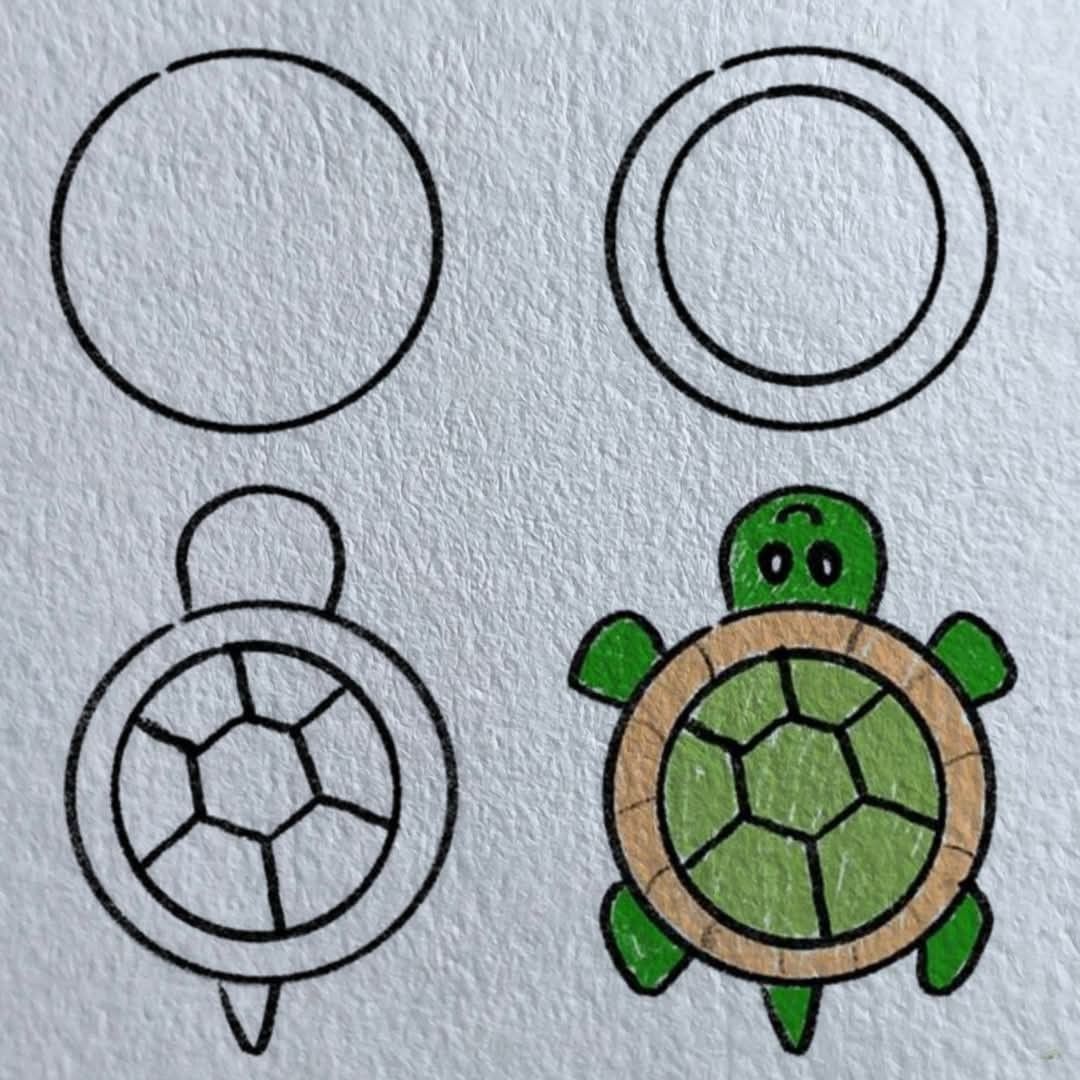 Desenho de Tartaruga: Tartaruga fofa para desenhar fácil
