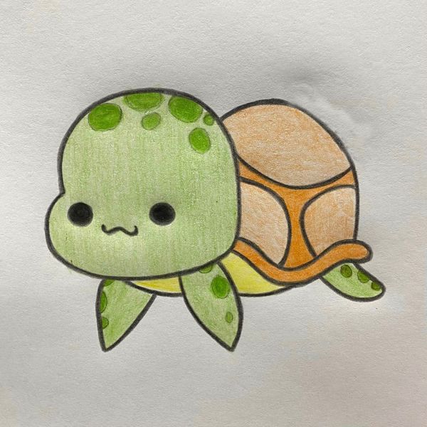 Desenho de Tartaruga: Tartaruga fofa e colorida para desenhar