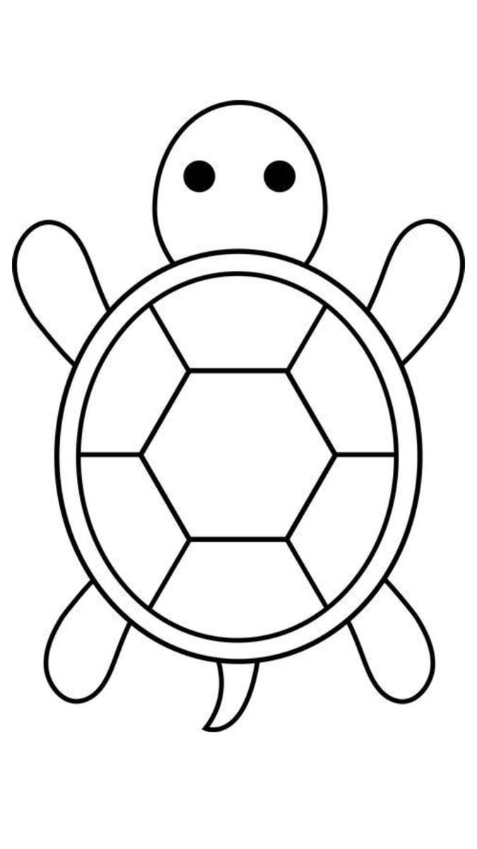 Desenho de Tartaruga: tartaruga simples para desenhar