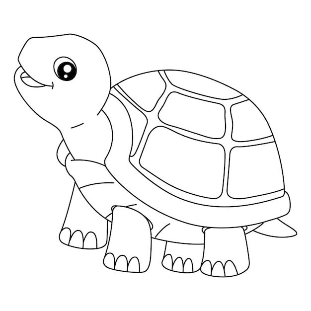 Desenho de Tartaruga: tartaruga fofa para desenhar