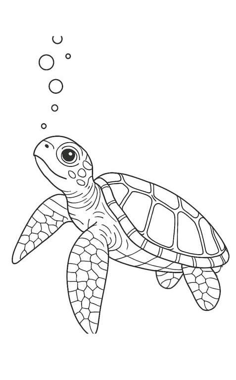 Desenho de Tartaruga: Tartaruga fofa para desenhar a lápis