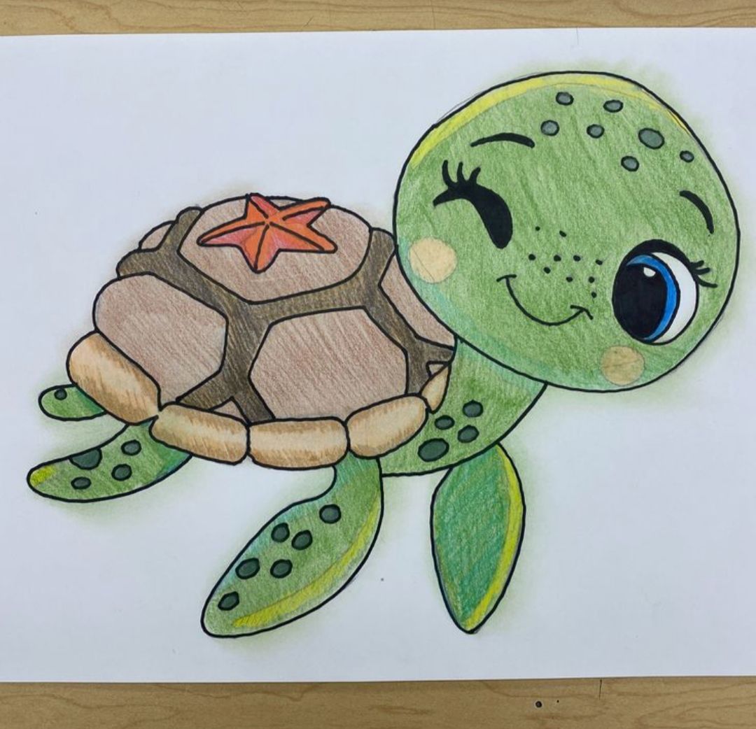 Desenho de Tartaruga: tartaruga fofa a lápis para desenhar