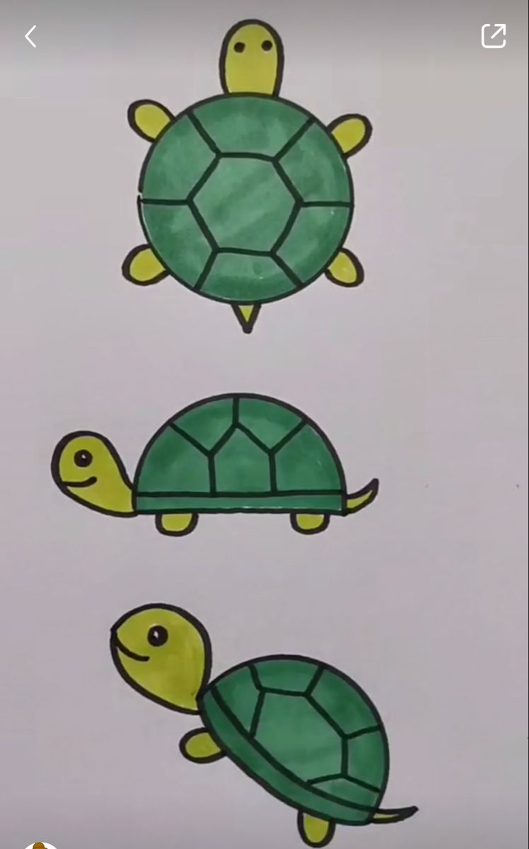 Desenho de Tartaruga: tartarugas fofas para desenhar