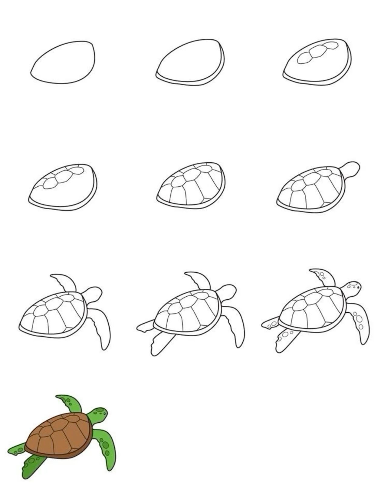 Desenho de Tartaruga: Tartaruga fofa a lápis para desenhar