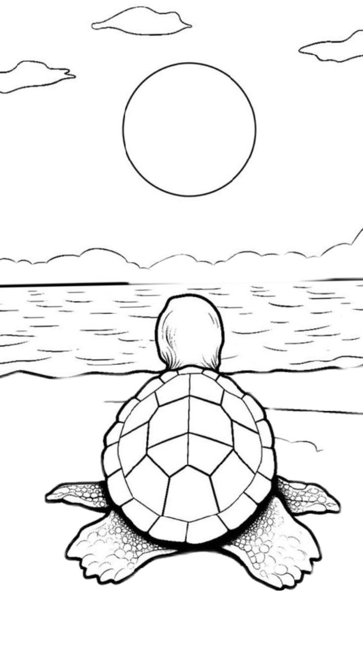 Desenho de Tartaruga: tartaruga fofa olhando para o mar
