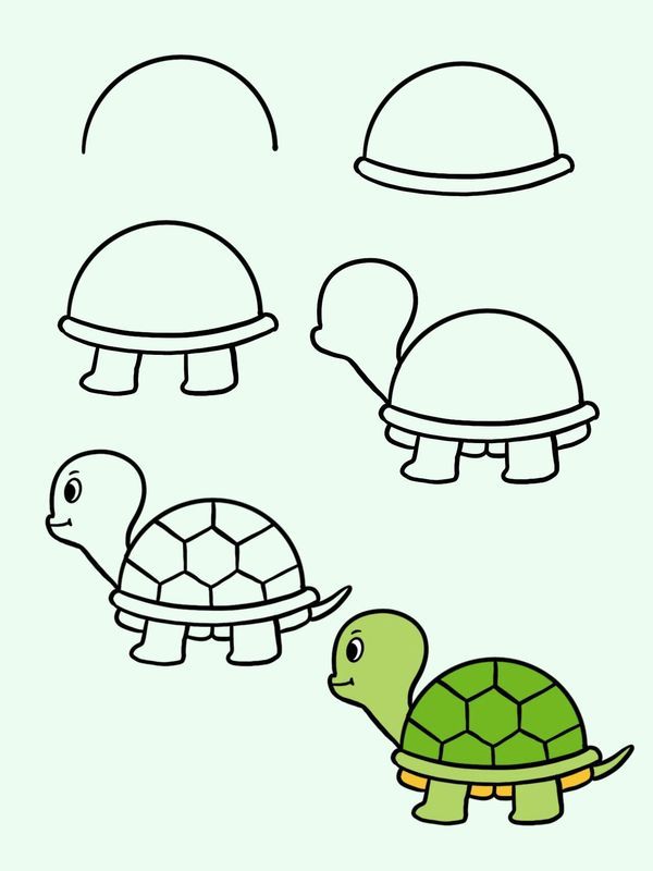 Desenho de Tartaruga: desenho fofo a lápis para colorir