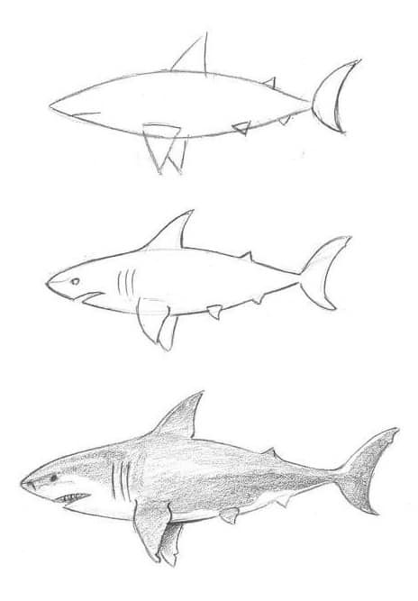Desenho de Tubarão: esboço fácil de tubarão a lápis