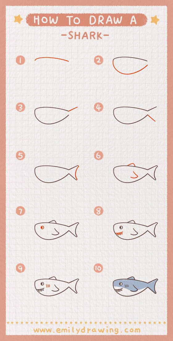 Desenho de Tubarão: Como desenhar um Tubarão simples