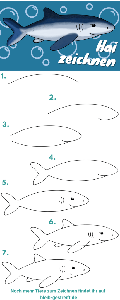 Desenho de Tubarão: Como desenhar um Tubarão Simples