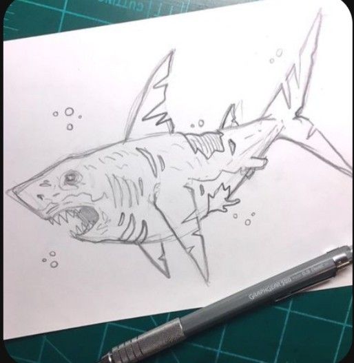 Desenho de Tubarão: Tubarão realista a lápis fácil