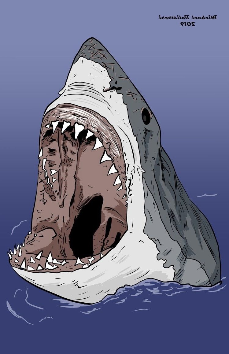 Desenho de Tubarão: Tubarão realista para desenhar fácil