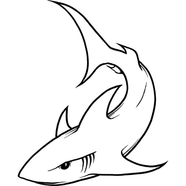 Desenho de Tubarão: Tubarão simples para desenhar fácil