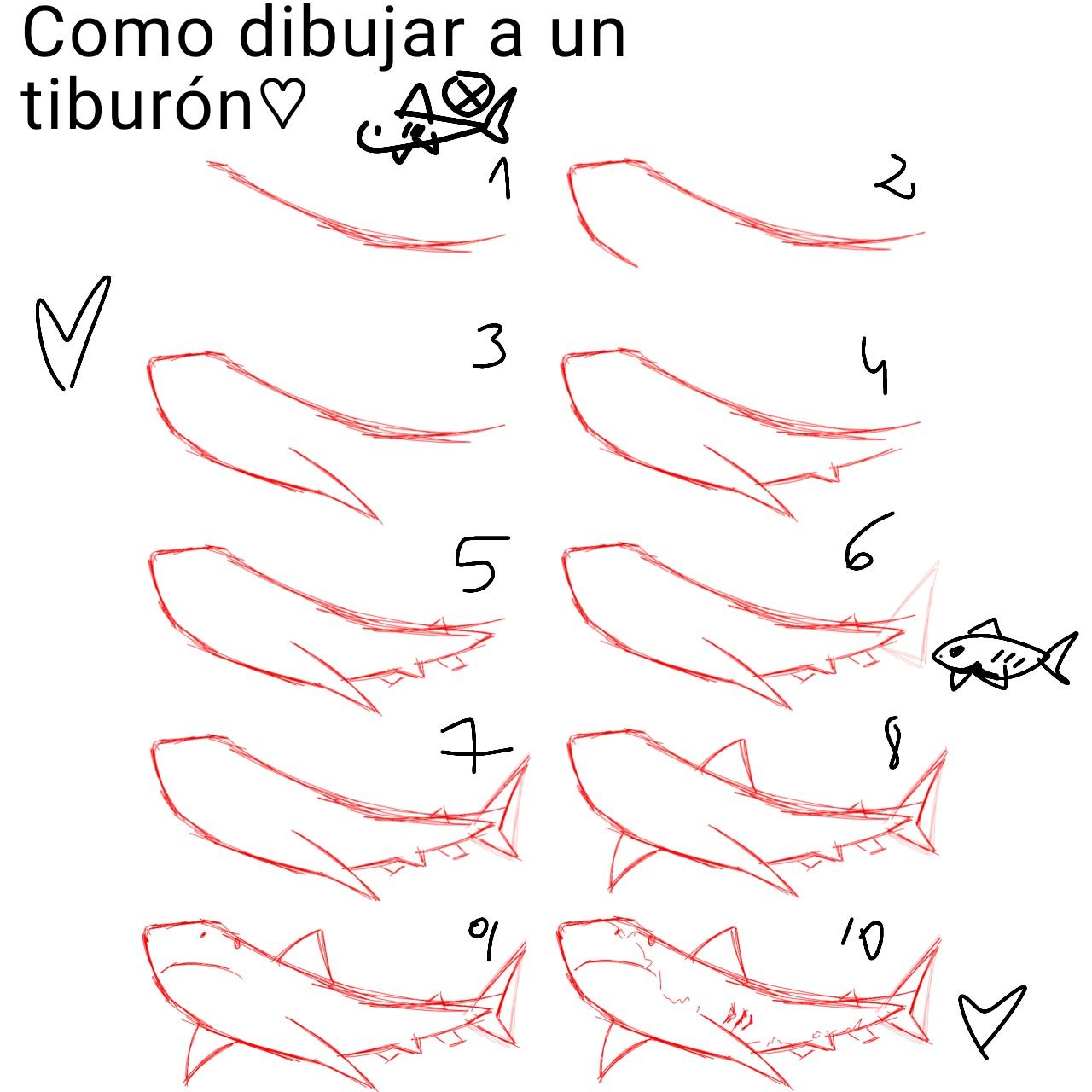 Desenho de Tubarão: passo a passo simples a lápis