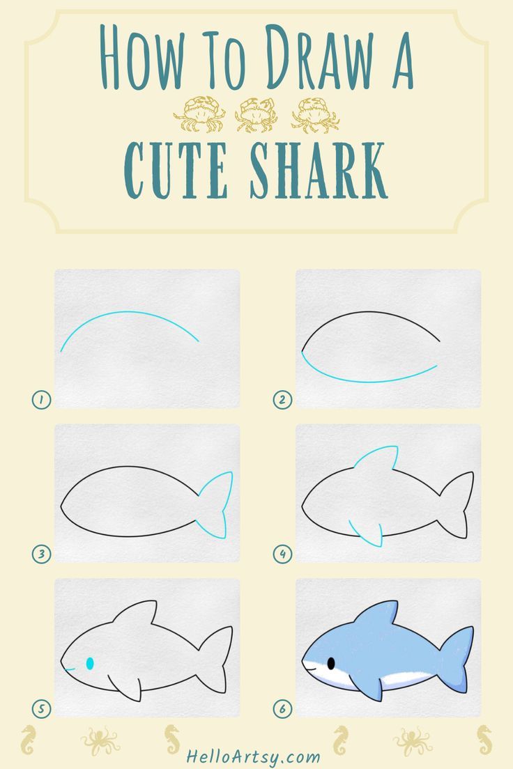 Desenho de Tubarão: Tubarão fofo para desenhar fácil