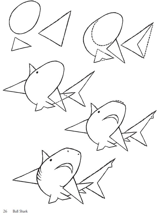 Desenho de Tubarão: Guia passo a passo fácil