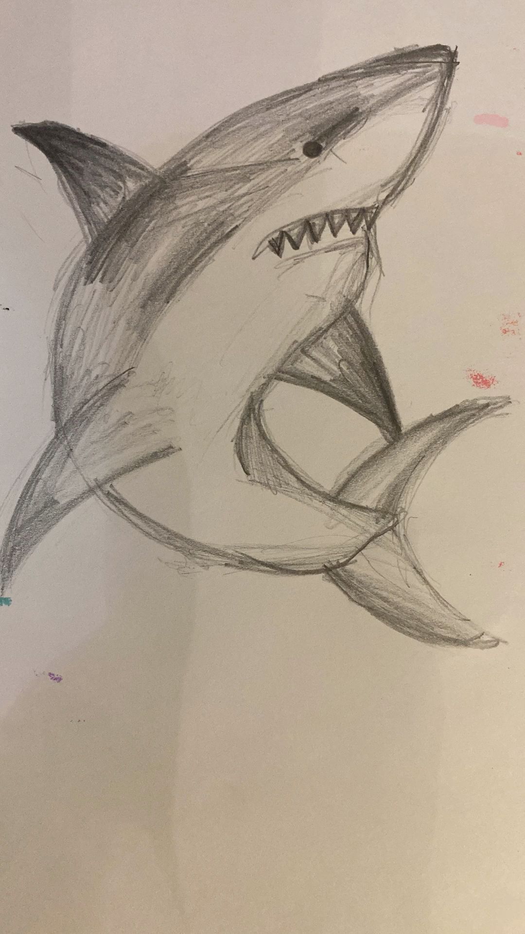 Desenho de Tubarão: Tubarão a lápis simples para desenhar