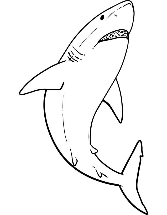 Desenho de Tubarão: Tubarão simples para desenhar fácil