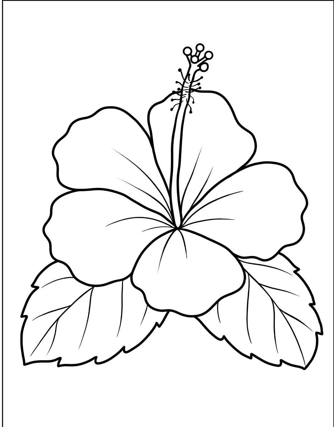 Desenho da Flor Hibisco para imprimir e colorir