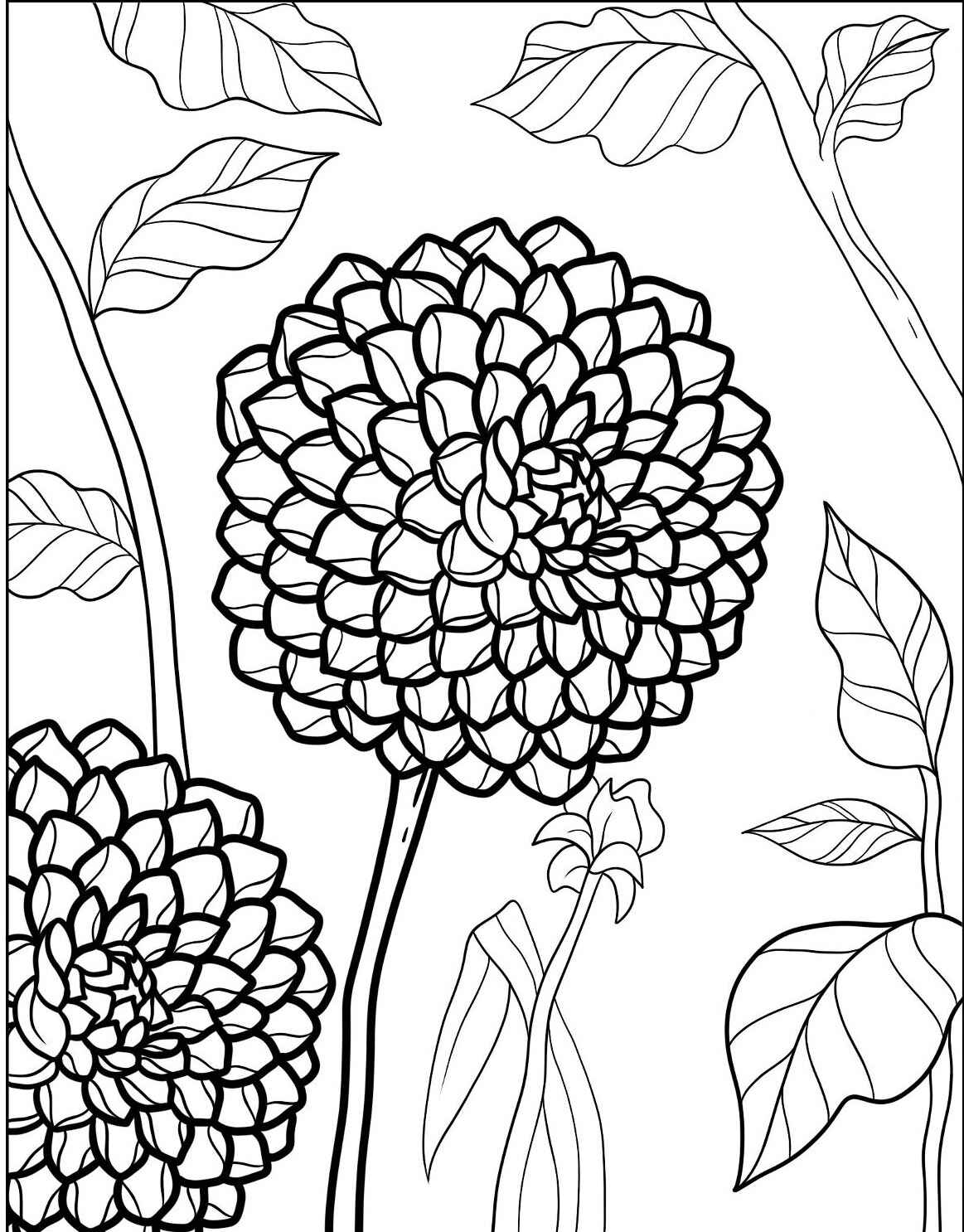 Desenho da Flor Dália com folhas para imprimir e colorir