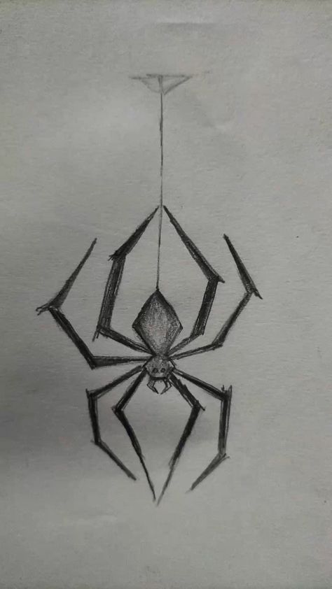 Desenho de Cria: Aranha pendurada para desenhar a lápis