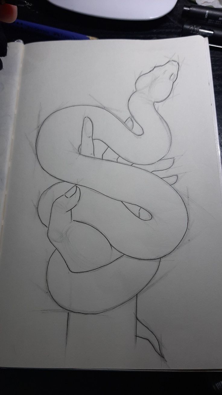 Desenho de Cria: Cobra de Cria para desenhar no caderno