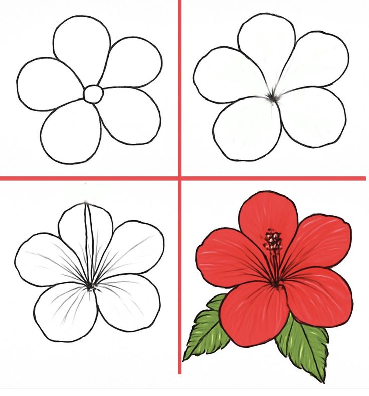 Desenho para Desenhar Passo a Passo: Flor colorida em etapas