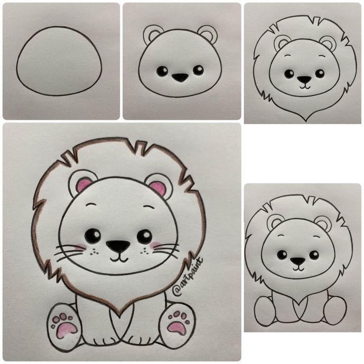 Desenho para Desenhar Passo a Passo: Leão fofo em etapas