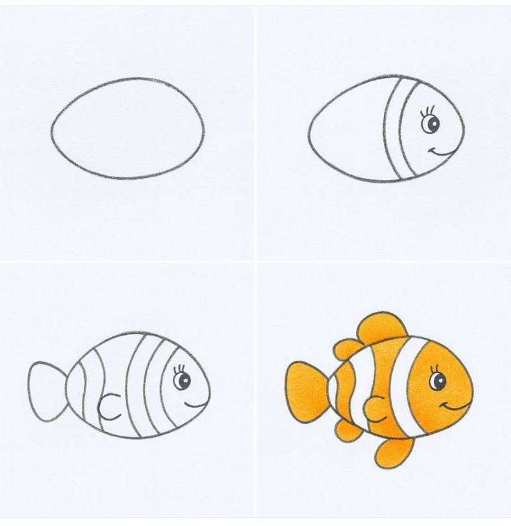 Desenho para Desenhar Passo a Passo: Peixe fofo em quatro etapas
