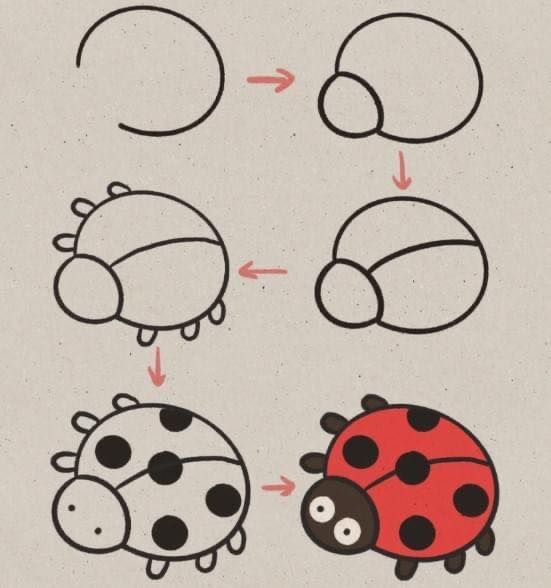 Desenho para Desenhar Passo a Passo: Joaninha em etapas