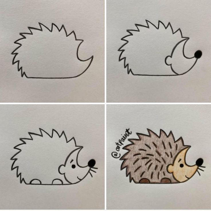 Desenho para Desenhar Passo a Passo: ouriço-cacheiro fofo