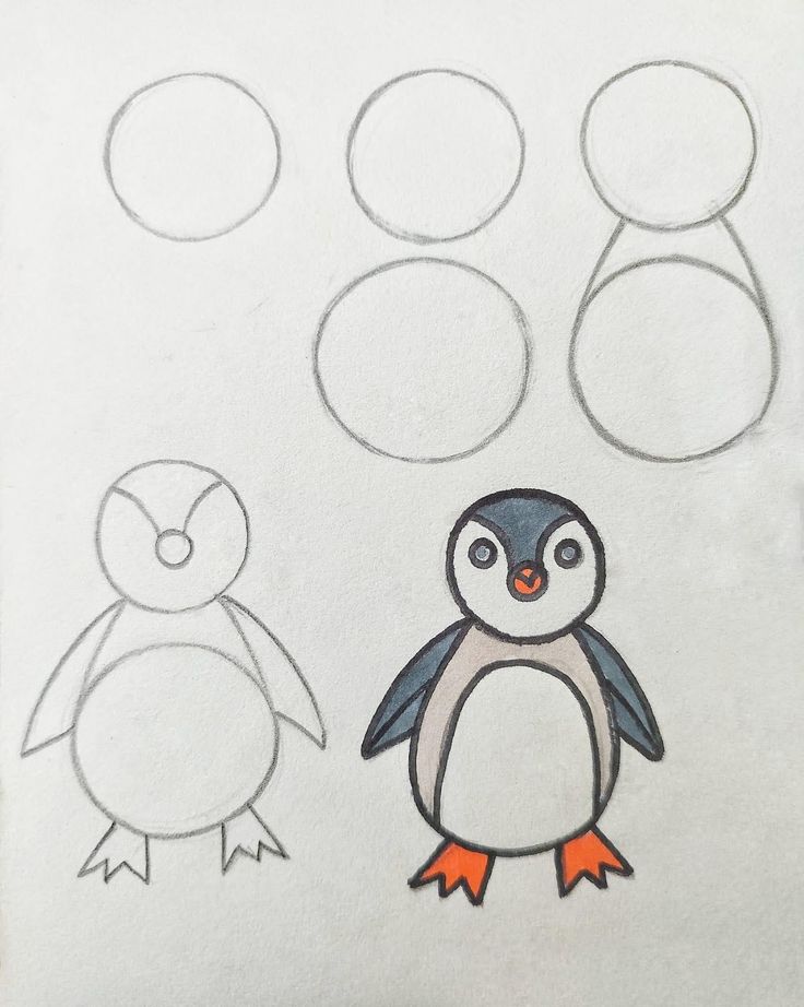 Desenho para Desenhar Passo a Passo: Pinguim colorido em etapas