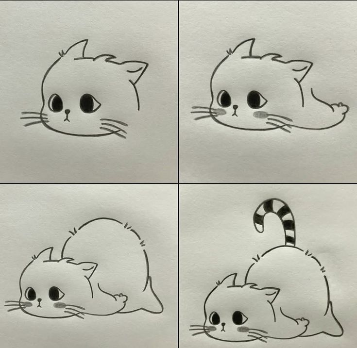 Desenho para Desenhar Passo a Passo de gato fofinho