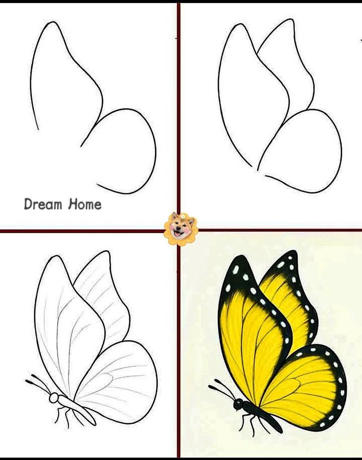 Desenho para Desenhar Passo a Passo: Borboleta colorida