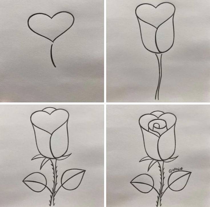 Desenho para Desenhar Passo a Passo: Rosa em quatro etapas