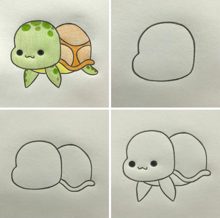Desenho para Desenhar Passo a Passo: Tartaruga fofa com traços