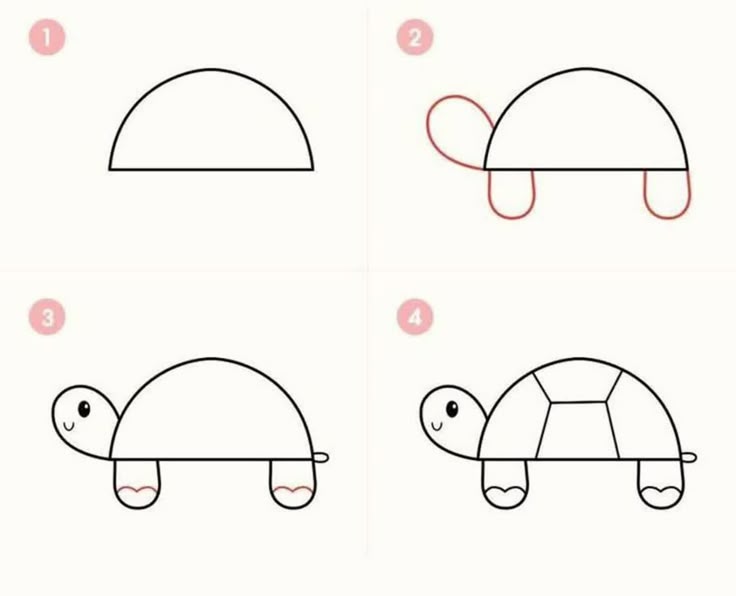 Desenho para Desenhar Passo a Passo: Tartaruga fofa em etapas