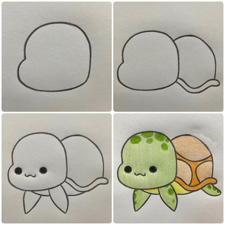 Desenho para Desenhar Passo a Passo: Tartaruga fofa em etapas