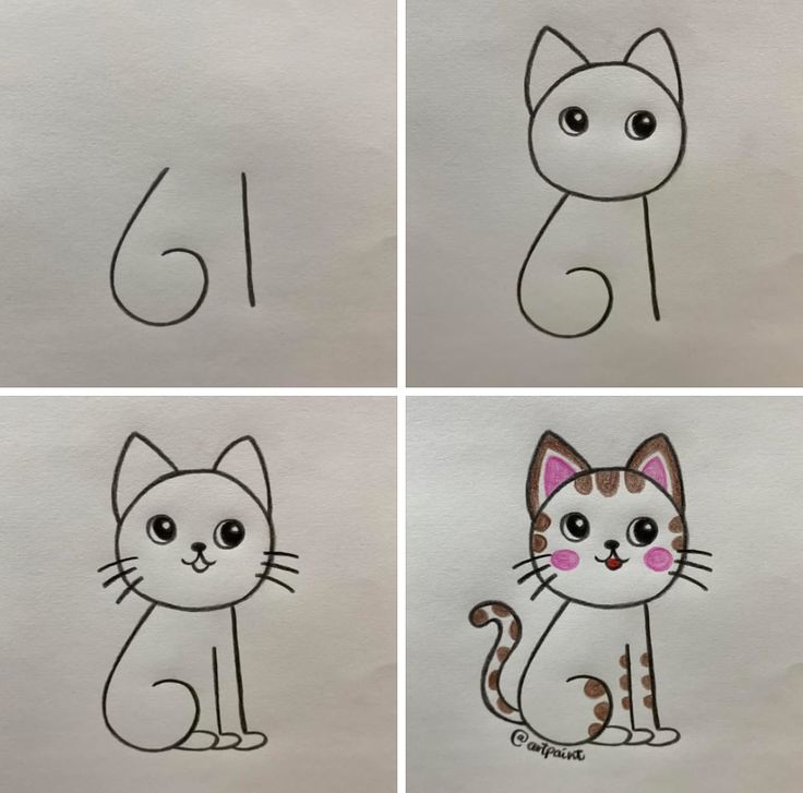 Desenho para Desenhar Passo a Passo: Gato fofo em etapas