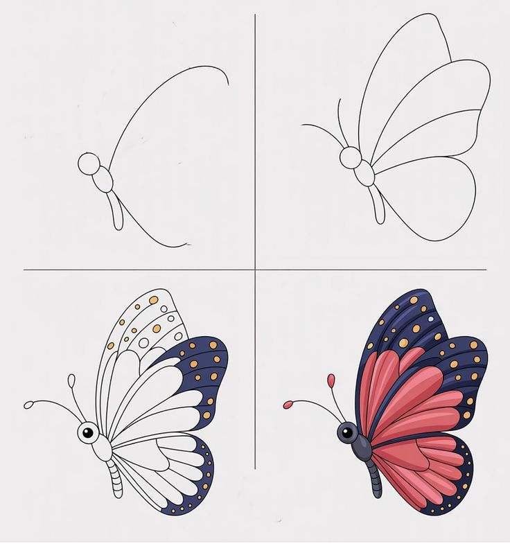 Desenho Passo a Passo para Desenhar Bonita Borboleta Colorida