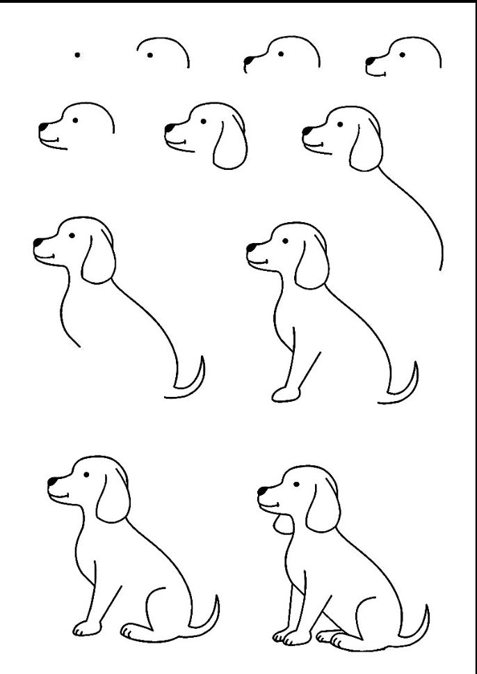 Desenho para Desenhar Passo a Passo: Cachorro em várias etapas