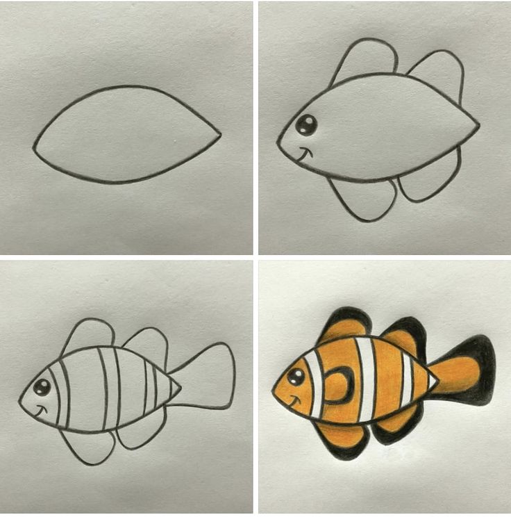 Desenho para Desenhar Passo a Passo: Peixe colorido passo a passo