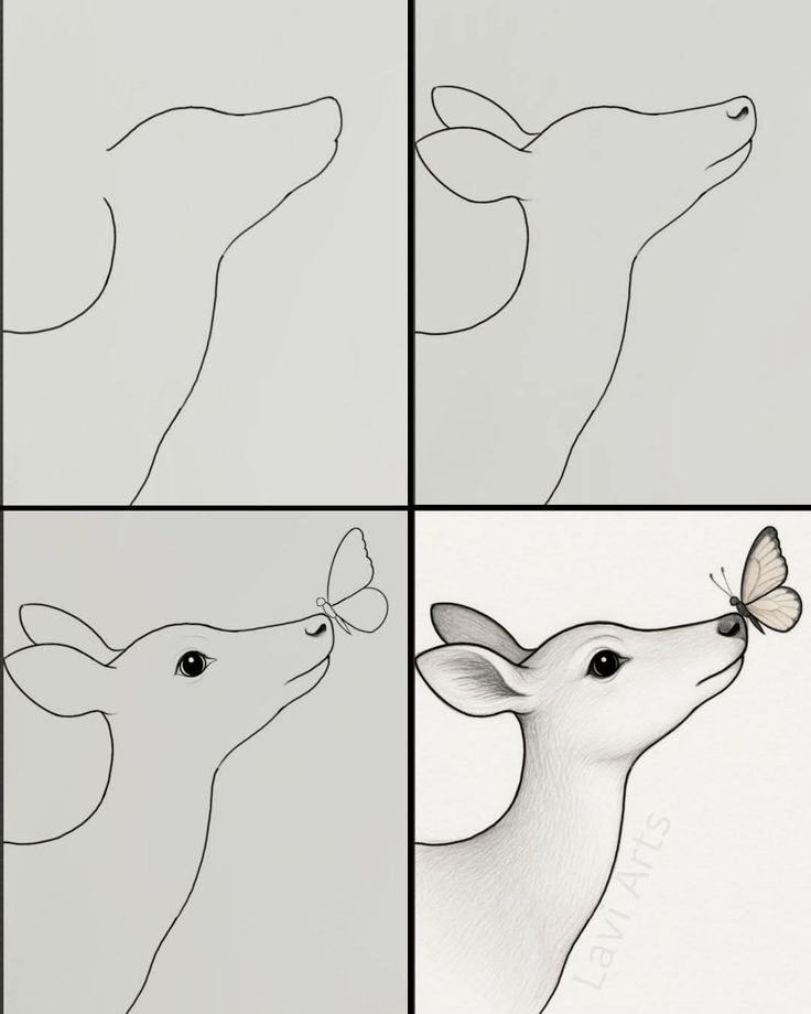 Desenho para Desenhar Passo a Passo: Veado com borboleta no nariz