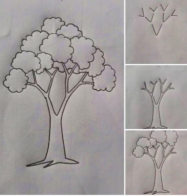 Desenho para Desenhar Passo a Passo: Árvore com folhas arredondadas