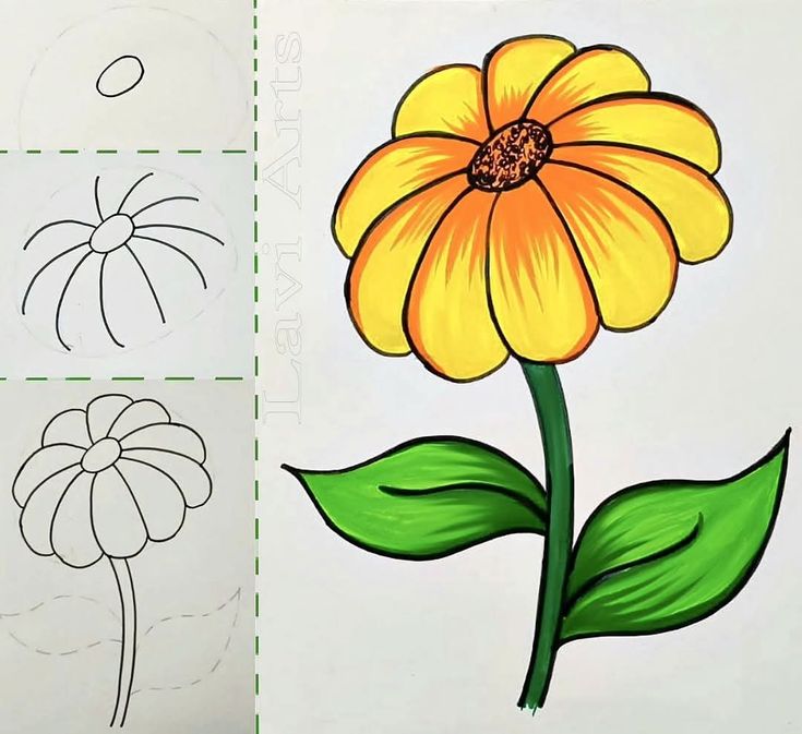 Desenho para Desenhar Passo a Passo: Flor amarela com detalhes