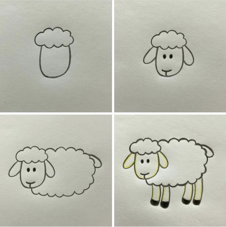 Desenho para Desenhar Passo a Passo de uma ovelha fofa