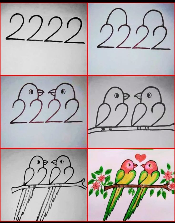 Desenho Passo a Passo para Pássaros em ramo com flores