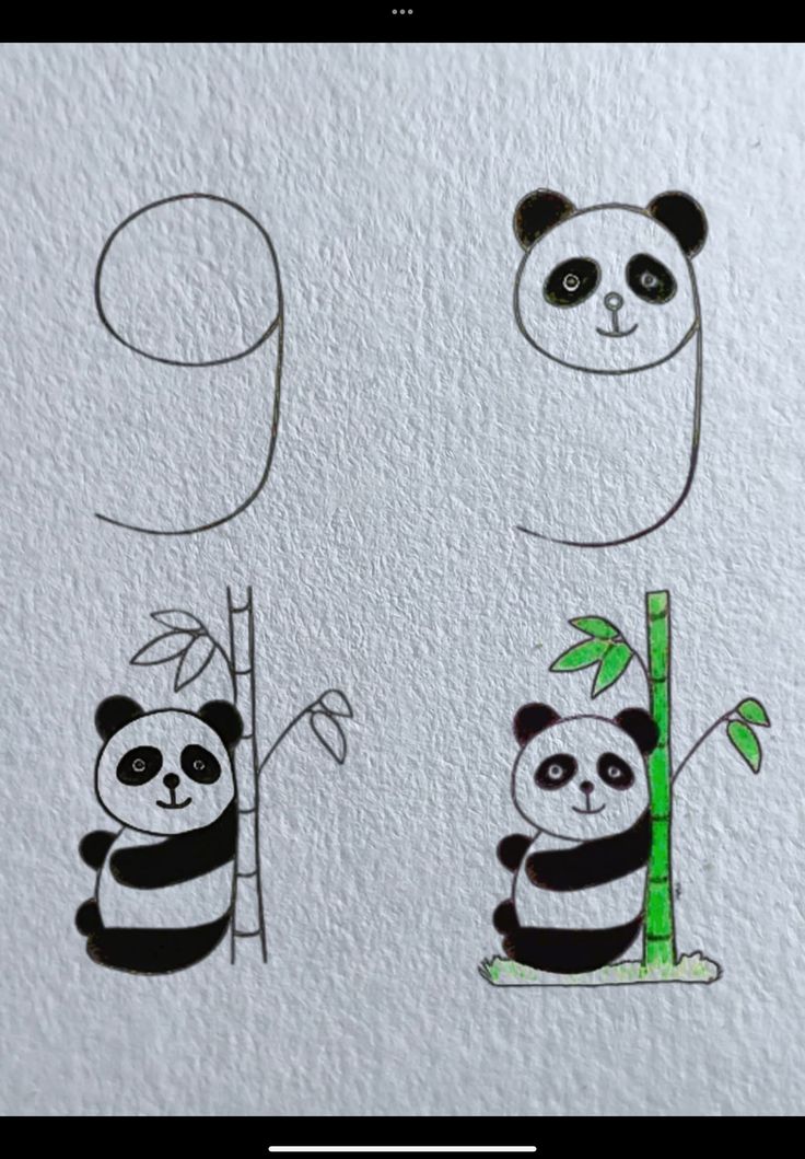 Desenho para Desenhar Passo a Passo: Pandas fofos entre bambus