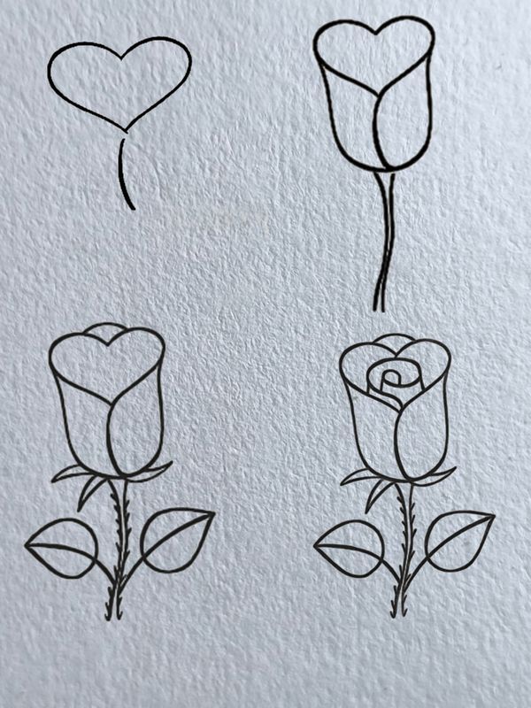 Desenho para Desenhar Passo a Passo: Rosa em etapas simples