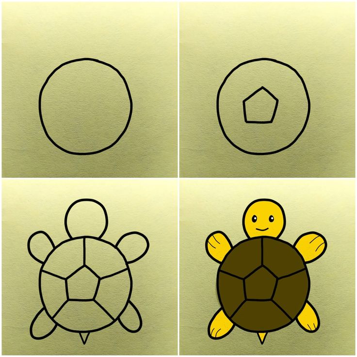 Desenho Passo a Passo para Desenhar uma Tartaruga