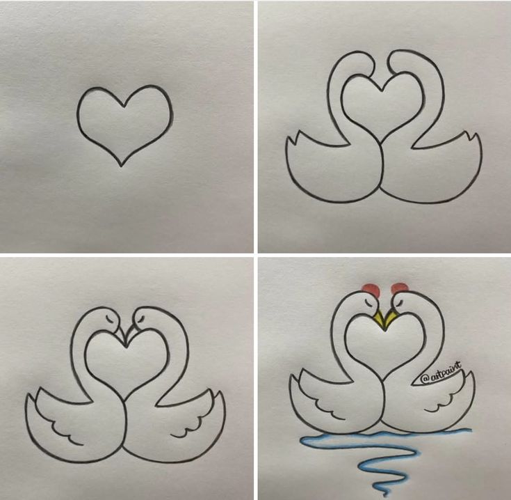 Desenho para Desenhar Passo a Passo: Cisnes formando coração
